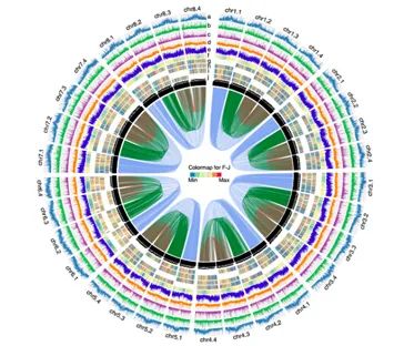 GT4C301B蒸汽注入罐封口機